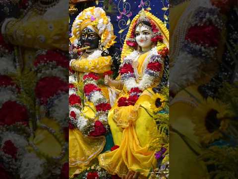 Shree radha janmashtami || radhe radhe || #radheradhe #radharani #radhaashtamivrat