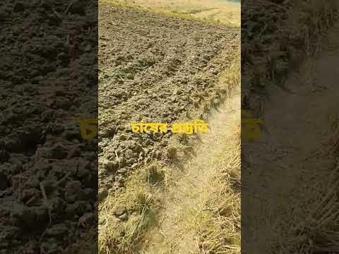 চাষের প্রস্তুতি(prepare for cultivation)😍#videos#soilpluged#soil#shorts#ybshorts