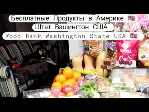 Бесплатная Еда в Америке #Бесплатка Штат Вашингтон #фудбанк #foodbank #washington #usa #shorts