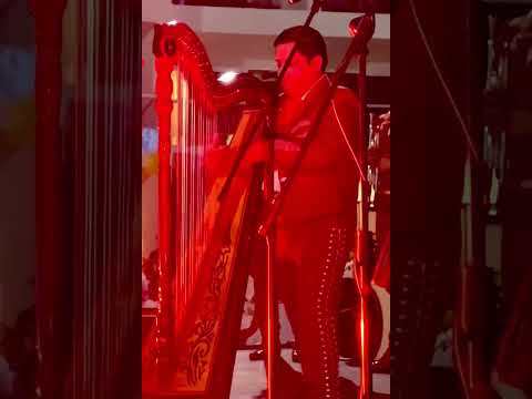 Amazing Mexican Harp Mariachi Musician #shorts #harp #mexicanmusic