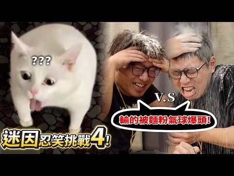 【迷因忍笑挑戰4】德爺V.S許伯!輸的被麵粉氣球爆頭!笑爆!搞笑的動物!惡搞的貓貓狗狗!【許伯簡芝】【有梗系列】