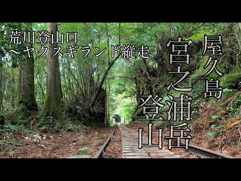 【宮之浦岳登山】素晴らしい　屋久島絶景てんこ盛りコース、荒川登山口〜ヤクスギランド縦走　県最高峰シリーズ　鹿児島県mountain climbing Yakushima