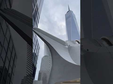 The Oculus at World Trade Center site resembles a bird in flight, symbolizing hope and freedom!