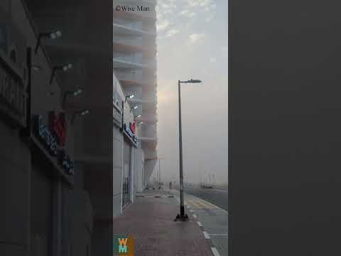 Morning Walk in Fog in Dubai #dubai #birds #youtubeshorts