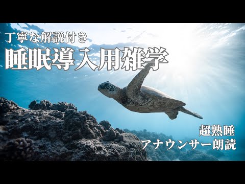 【睡眠導入用】【雑学】(解説付き) 珊瑚礁の海　マンタ　アオウミガメ　熱帯魚の癒しの映像