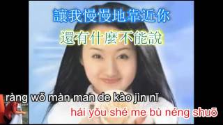 Qing qing de gao su ni - 轻轻的告诉你 - 杨钰莹 - karaoke