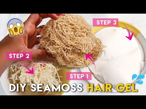 DIY Homemade SEA MOSS HAIR GEL RECIPE