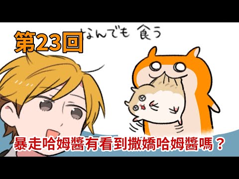 暴走哈姆醬【第23回】暴走哈姆醬有看到撒嬌哈姆醬嗎？