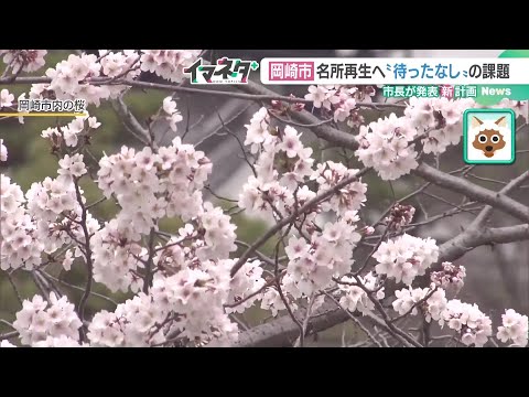 深刻な桜の老木化　クラファンで桜並木を再生　子どもたちにつなげる景色　愛知・岡崎市 (24/12/18 17:58)