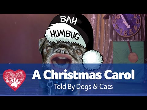 A Christmas Carol Told By Dogs & Cats