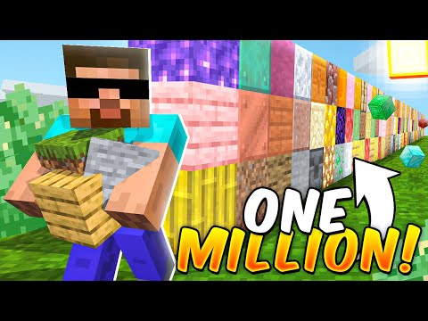 MINECRAFT BUT I PLACE 1,000,000 BLOCKS...