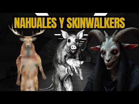 4 Nuevas historias de Skinwalkers y Nahuales. La leyenda de la cochi.