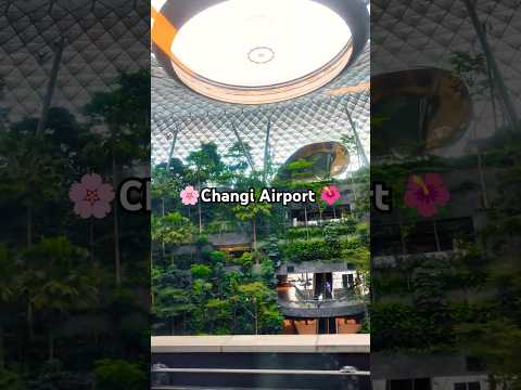 A Perfect Blend of Nature and Technology! 🌴✈️✨ #ChangiAirport #SingaporeTravel #NatureAndTechnology