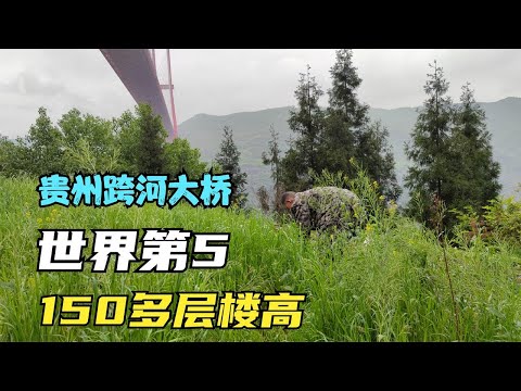 贵州这座桥，排名世界第5，距水面150多层楼高，汽车像飞在天上【背包走遍中国】