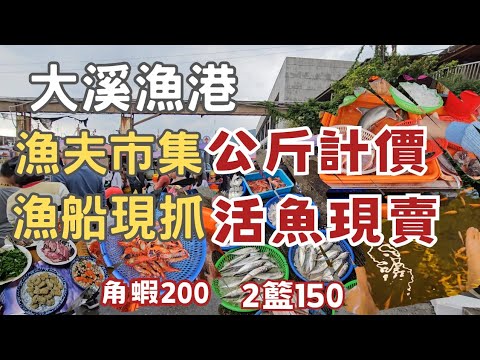 大溪漁港最新鮮公斤計價漁港，現流現抓活魚滿滿！鮮蝦堆滿地｜老闆說：這個季節來最便宜！｜滿地一籃100元起