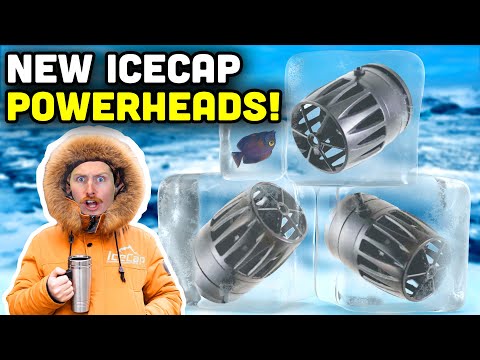 ALL NEW IceCap Flow Pump Series! Affordable & Efficient!