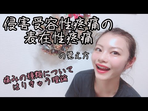 【はりきゅう理論】侵害需要性疼痛の覚え方Part1【Biancaなざと】