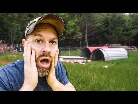 Is Homesteading Right for You?  What You Actually Need to Learn Will Surprise You!