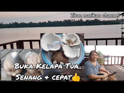 Cara Buka Kelapa Tua..indu Iban rumah panjang