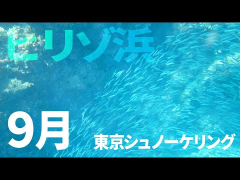 ＃８ヒリゾ浜でシュノーケリング（2020年9月）【東京シュノーケリング】