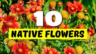 TOP 10 Flowering Native Plants for BEAUTY & Wildlife 🐝✨