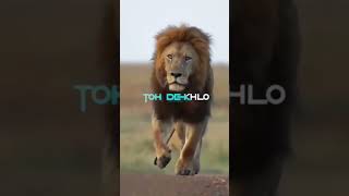 Lion Attitude shayari status Shayari status Attitude shayari #youtubeshorts#viral#shayari#shorts