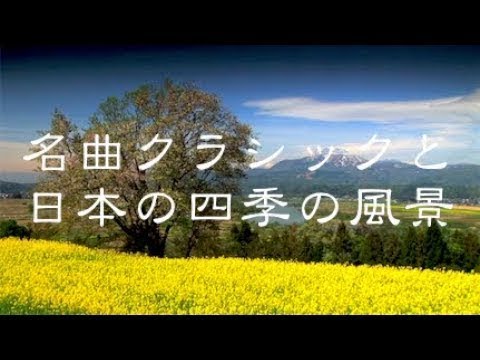 寝る前に聴く曲【α波】で本当に疲れが取れる熟睡モードへ！安らぎのリラックスBGM