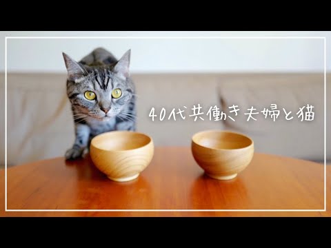 新しいお椀で豚汁を飲もうとしたら愛猫の取り調べが始まりましたw【40代共働き夫婦と猫の休日】