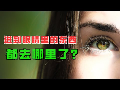 进到眼睛里的东西最后都去哪了？