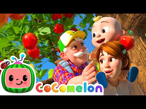 Counting Apples At Gandpa's Farm🍎| CoComelon Kids Songs & Nursery Rhymes