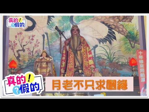 真的假的!EP61 月老不只求姻緣 !!