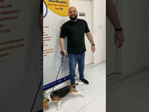 We are happy to share another testimonial from our valued customer, Hamza
 #petlovers #uae #dubai