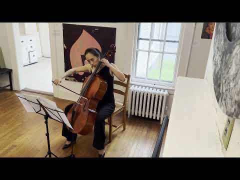 Shu-Wei Tseng  Cellist Performs at TAAC Opening on Governors Island NYC 5 18 24