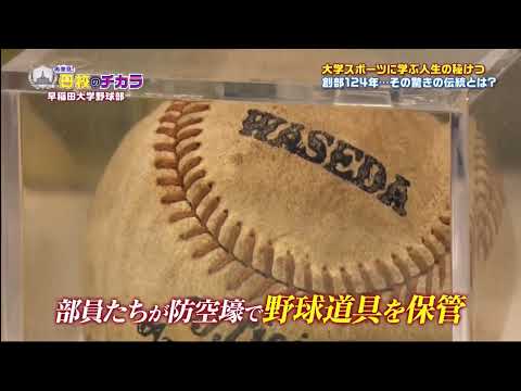 再発見！母校のチカラ▼日本で初めて海を渡った野球チーム　早稲田大学野球部  2024年12月26日 241226