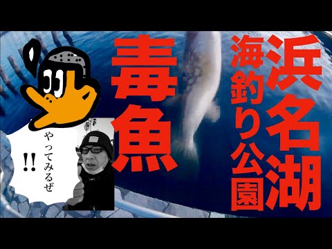 [初心者釣り日記] 12月の浜名湖新居海釣り公園、毒魚ばかりでも釣れてよかったと考える初心者