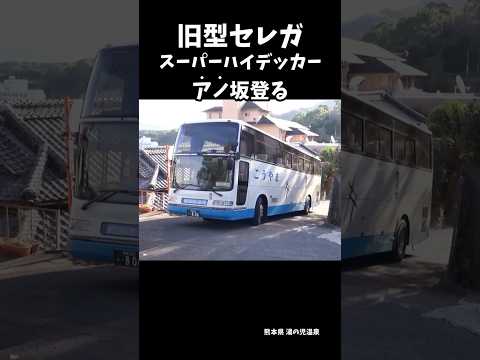 旧型日野セレガSPハイデッカー、外国の人乗せて坂登る　 #大型バス #バス運転手 #大型観光バス  #バスれ #バスガイドいない #shorts