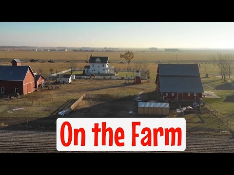 Let's Go to the Farm | Educational Video for Toddlers & Early Years