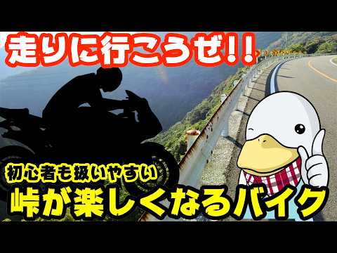 【公道最速】初心者も峠を楽しめる!!最適なバイクはコレだ!!