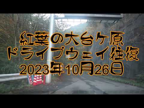 紅葉の大台ケ原ドライブウェイ往復  2023.10.26