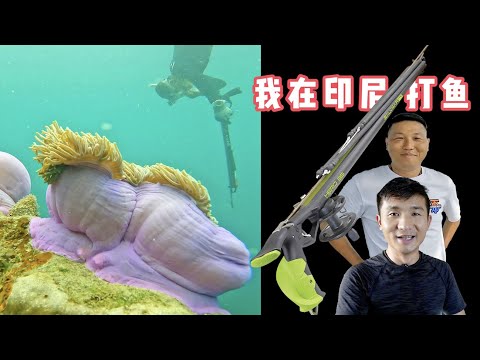 《印度尼西亚》第22天：粉丝朋友第1次使用渔枪，居然也打到大鱼！#环球旅行 #旅行攻略 #indonesia #印度尼西亚 #赶海 #渔猎