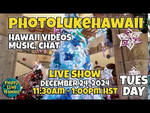 PhotoLukeHawaii LIVE December 24, 2024 Things to do in Honolulu Hawaii