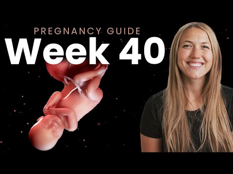 40 Weeks Pregnant | Week By Week Pregnancy