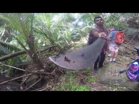 Seychelles Hike