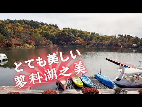 東京賞楓勝地及最佳度假溫泉小木屋:蓼科湖→清里萌木之村→まきば公園@SINGFU