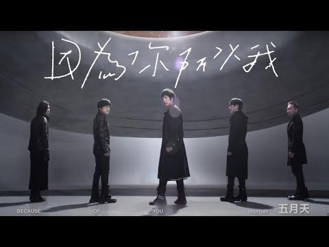 五月天 - 《因为你 所以我 [Because Of You] 》[因為你 所以我 愛上那 片天空] 1080p 动态歌词 Lyrics