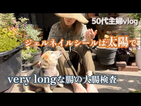 50代主婦vlog／大腸カメラ検査して腸が長い事を知る😱／ジェルネイルシールはUVで👍☀️／withワンコ