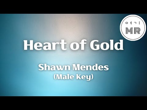 Heart of Gold - Shawn Mendes (션 멘데스) (남자키E/-3) 여기MR / Karaoke / Music / 노래방