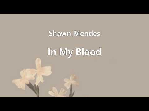 Shawn Mendes - In My Blood (cover)