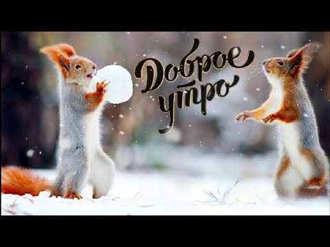 ❄️Доброе зимнее утро❄️ Хорошего настроения ❄️ Музыкальная открытка❄️