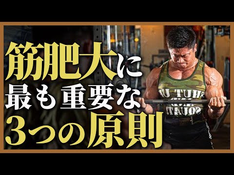 【日本チャンピオンが語る】筋肥大に最も重要な3つの原則、みなさんは実践できていますか？